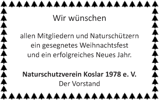 Glückwunschanzeige von gesegnetes Weihnachtsfest  von Zeitung am Sonntag